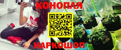 МДПВ Обь