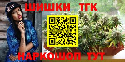 МДПВ Обь