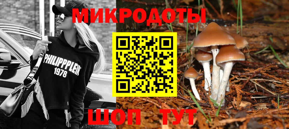 Тайшет  Псилоцибиновые грибы Psilocybe  Вход с VPN 